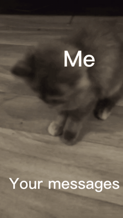 A Black And White Photo Of A Cat With The Words " Me Your Messages " Below It GIF