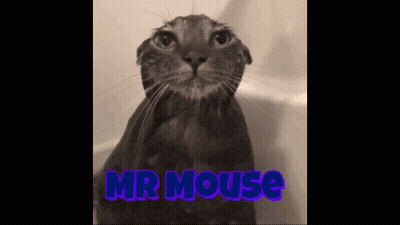 A Black And White Photo Of A Cat With The Words Mr Mouse On The Bottom GIF