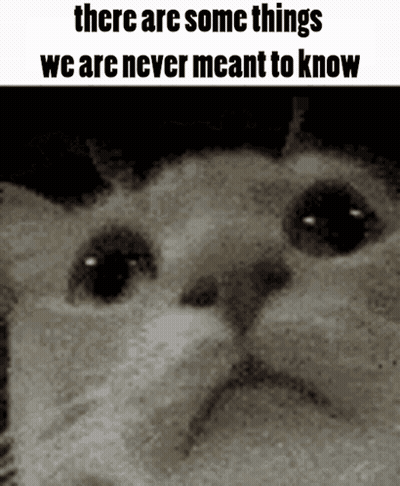 A Black And White Photo Of A Cat With The Words There Are Some Things We Are Never Meant To Know GIF