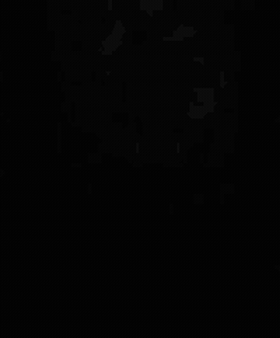 A Black And White Photo Of A Cat With The Words You Didnt Hop On Beki Strem GIF