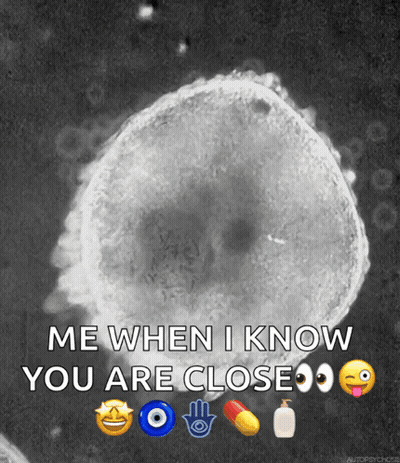 A Black And White Photo Of A Cell With Emojis Around It And The Caption Me When I Know You Are Close GIF