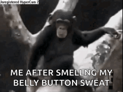 A Black And White Photo Of A Chimpanzee With The Words `` Me After Smelling My Belly Button Sweat '' GIF