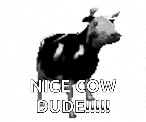 A Black And White Photo Of A Cow With The Words Nice Cow Dude !!! GIF