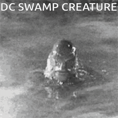 A Black And White Photo Of A Creature In The Water With The Caption `` Dc Swamp Creature '' . GIF