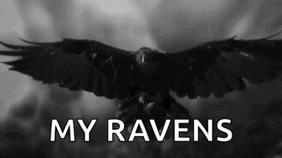 A Black And White Photo Of A Crow With Its Wings Spread And The Words `` My Ravens '' Written Below It . GIF