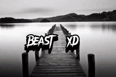 A Black And White Photo Of A Dock With The Words Beast Xd Written On It GIF