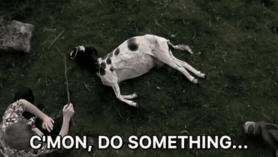 A Black And White Photo Of A Dog Laying On The Ground With The Caption C Mon Do Something GIF