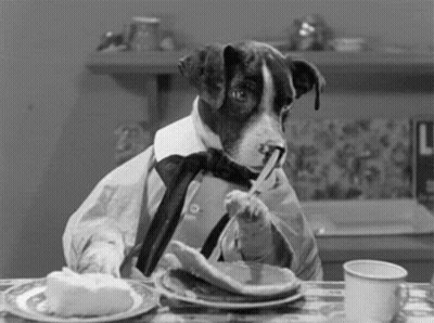 A Black And White Photo Of A Dog Wearing A Tie Eating Pancakes . GIF
