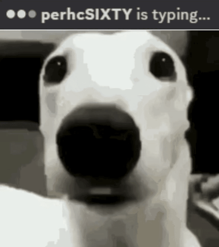 A Black And White Photo Of A Dog With The Words Perhcsixty Is Typing GIF