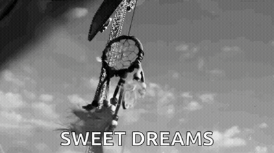 A Black And White Photo Of A Dream Catcher Hanging From A Tree With The Words `` Sweet Dreams '' Written Below It . GIF
