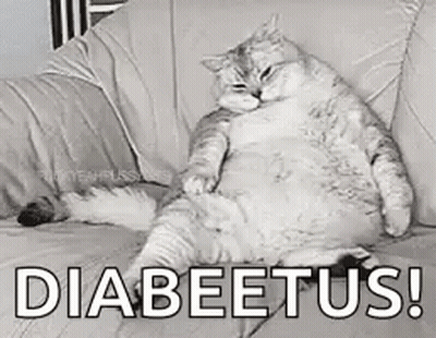 A Black And White Photo Of A Fat Cat Sitting On A Couch With The Words `` Diabeetus '' Written On It . GIF