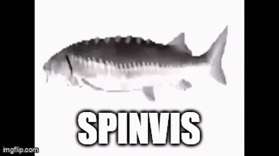 A Black And White Photo Of A Fish With The Name Spinvis Written On It . GIF