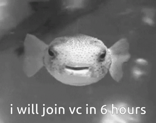 A Black And White Photo Of A Fish With The Words I Will Join Vc In 6 Hours GIF