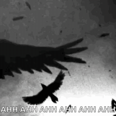 A Black And White Photo Of A Flock Of Birds Flying In The Sky GIF