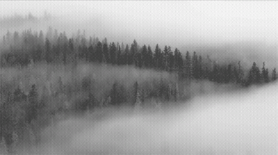 A Black And White Photo Of A Foggy Forest In The Mountains GIF
