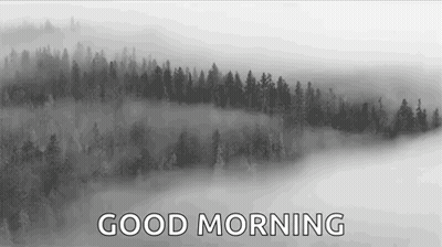 A Black And White Photo Of A Foggy Forest With The Words `` Good Morning '' GIF