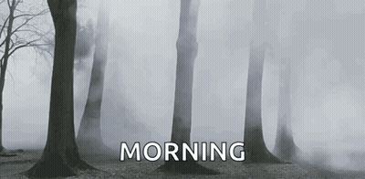A Black And White Photo Of A Foggy Forest With The Words Morning Written On The Bottom Of The Photo . GIF