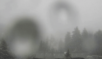 A Black And White Photo Of A Foggy Landscape GIF
