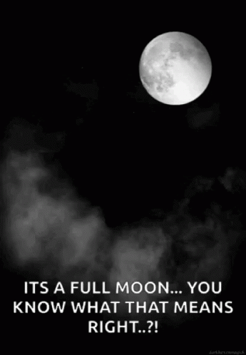 A Black And White Photo Of A Full Moon With The Caption It 'S A Full Moon ... You Know What That Means Right ? GIF