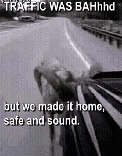 A Black And White Photo Of A Highway With The Caption Traffic Was Bahhhd But We Made It Home Safe And Sound . GIF