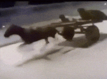 A Black And White Photo Of A Horse Pulling A Cart GIF