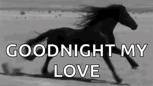 A Black And White Photo Of A Horse Running On A Beach With The Words `` Goodnight My Love '' Below It . GIF