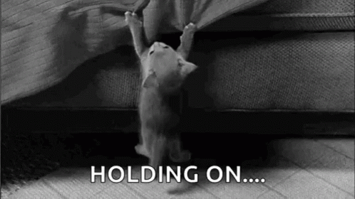 A Black And White Photo Of A Kitten Hanging From A Bed . GIF