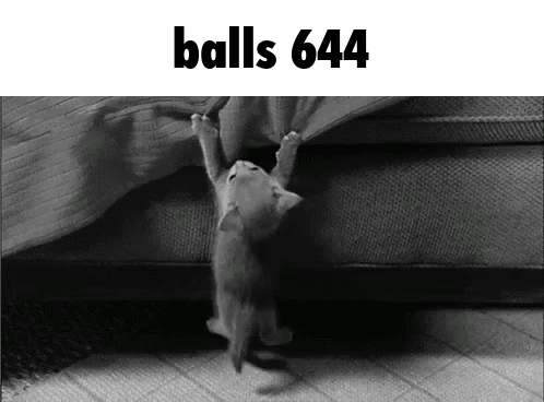 a black and white photo of a kitten hanging upside down under a blanket with the caption balls 644