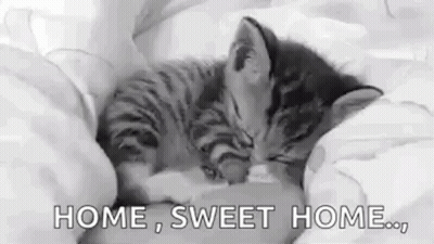 A Black And White Photo Of A Kitten Sleeping On A Bed With The Words `` Home , Sweet Home . '' GIF