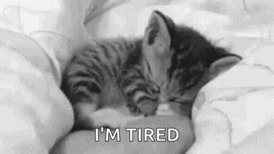 A Black And White Photo Of A Kitten Sleeping On Top Of A Bed . GIF