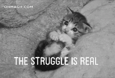 A Black And White Photo Of A Kitten With The Words " The Struggle Is Real " Above It GIF