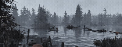 A Black And White Photo Of A Lake With Trees In The Background And A Few Pumpkins In The Water GIF