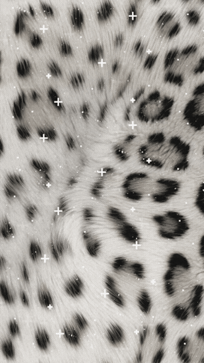 A Black And White Photo Of A Leopard Print With White Sparkles GIF