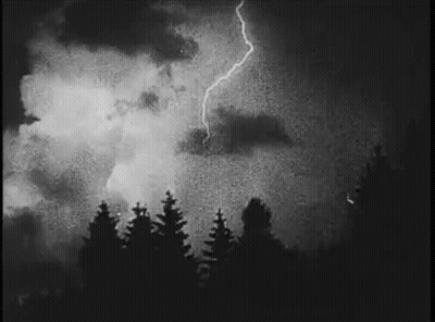 A Black And White Photo Of A Lightning Strike In The Sky Over A Forest . GIF
