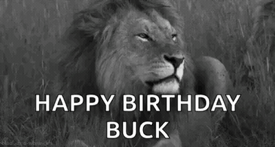 A Black And White Photo Of A Lion With The Words `` Happy Birthday Buck '' Written Above It . GIF