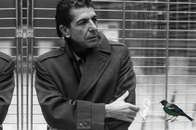 A Black And White Photo Of A Man And A Bird With The Words I Have Tried To Be Free On The Fence Behind Him GIF
