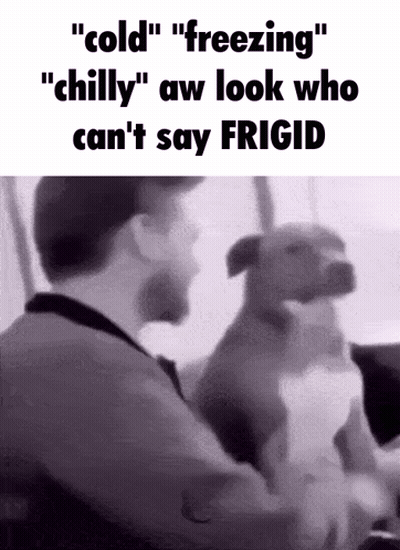 A Black And White Photo Of A Man And A Dog That Says " Cold " GIF