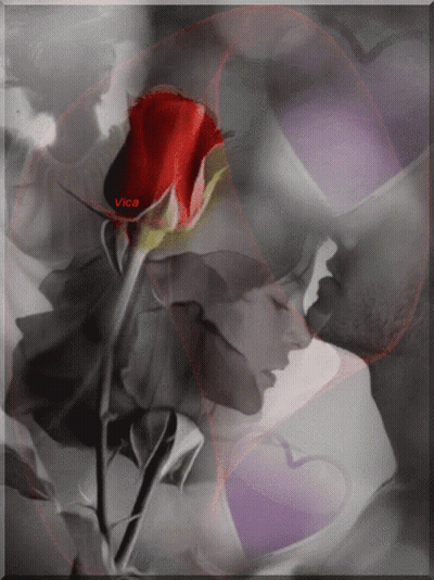 A Black And White Photo Of A Man And Woman Kissing With A Red Rose In The Foreground And The Name Vica On The Bottom GIF