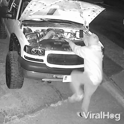 A Black And White Photo Of A Man Looking Under The Hood Of A White Truck GIF