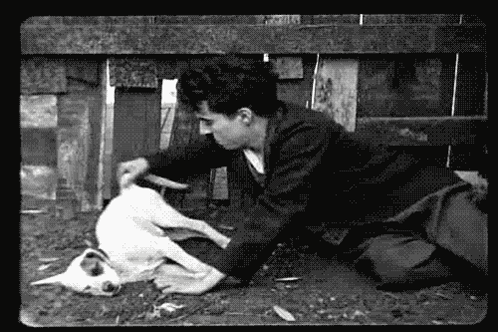 A Black And White Photo Of A Man Playing With A Dog . GIF