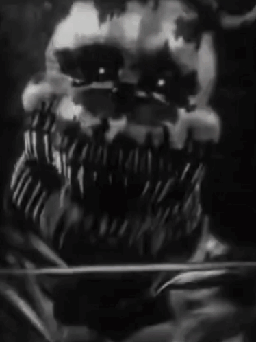 A Black And White Photo Of A Man 'S Face With A Large Beard . GIF