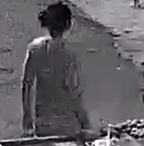 A Black And White Photo Of A Man Standing In The Water . GIF