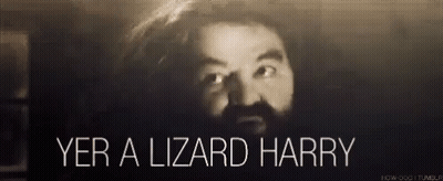 A Black And White Photo Of A Man With A Beard Saying Yer A Lizard Harry . GIF