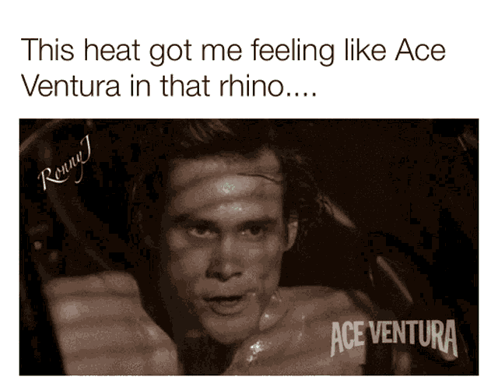 A Black And White Photo Of A Man With The Caption This Heat Got Me Feeling Like Ace Ventura In That Rhino ... GIF
