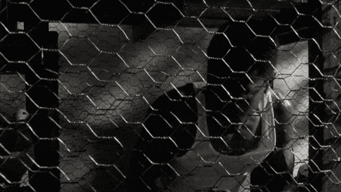 A Black And White Photo Of A Person Behind A Wire Fence GIF
