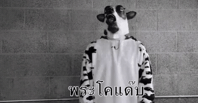 A Black And White Photo Of A Person Dressed As A Cow . GIF