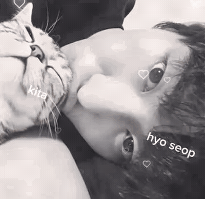 A Black And White Photo Of A Person Laying On A Bed With A Cat Licking Their Face . GIF