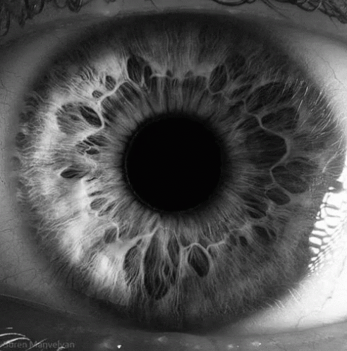 A Black And White Photo Of A Person 'S Eye Taken By Karen Marvelan GIF