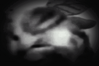 A Black And White Photo Of A Person 'S Face In The Dark GIF