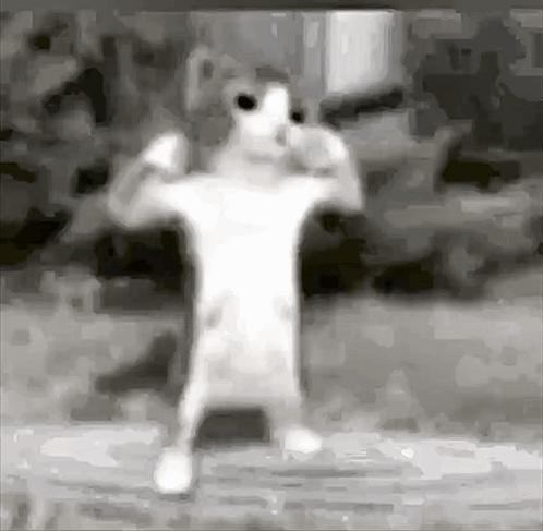 Black And White Photo Of Person Standing With Arms Outstretched GIF